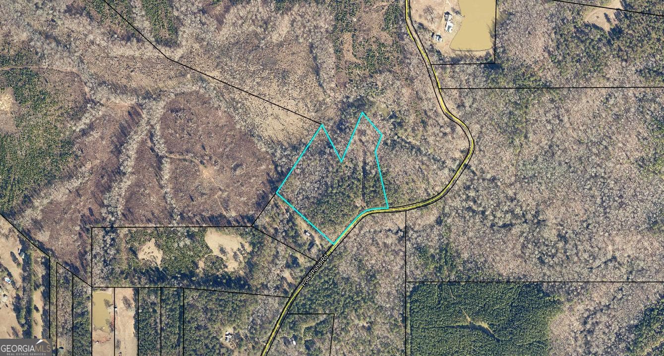 agriculture for sale at 331 Potts Pond Road, Barnesville, GA 30204 — photo 9
