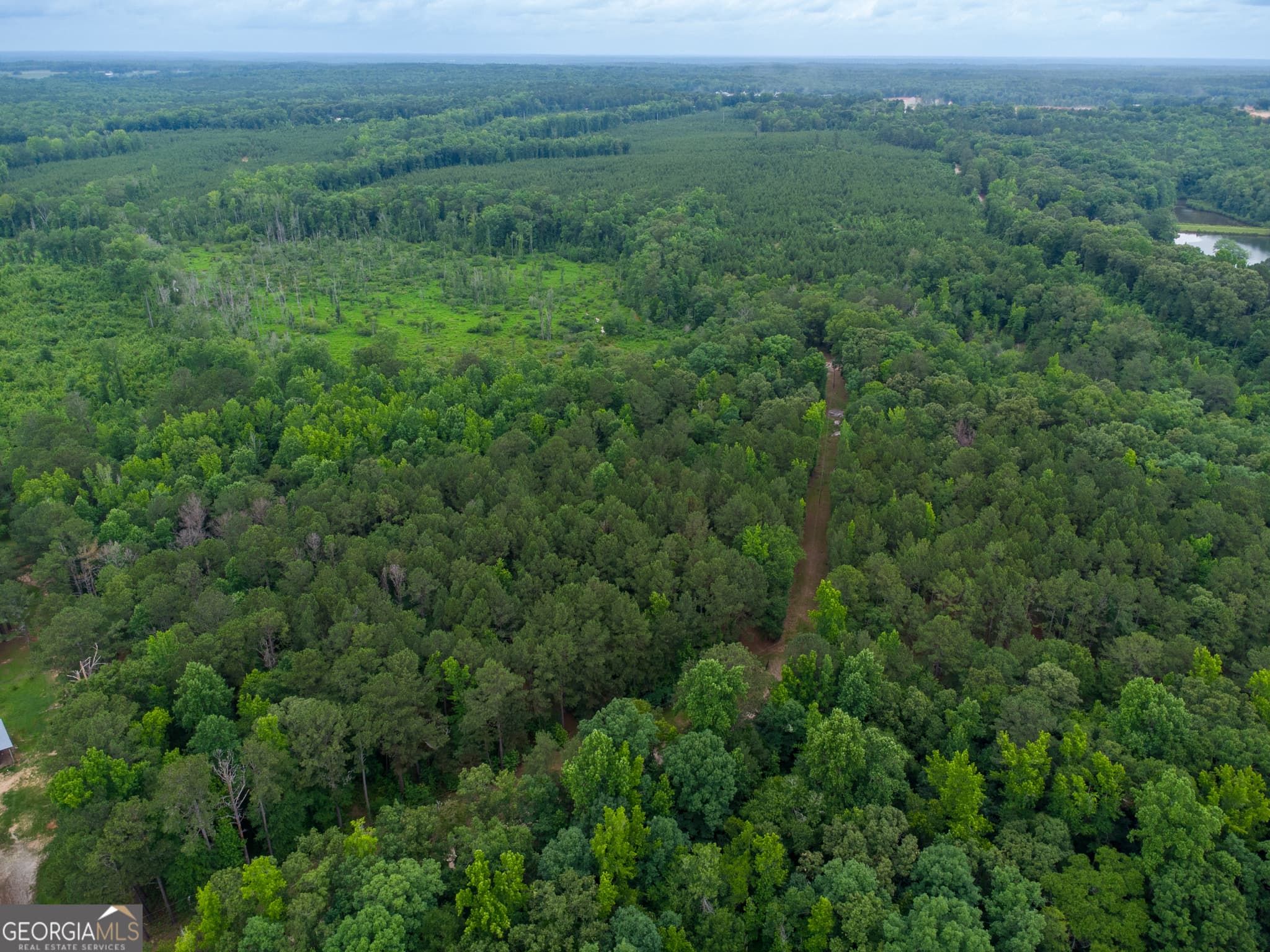 agriculture for sale at 331 Potts Pond Road, Barnesville, GA 30204 — photo 4
