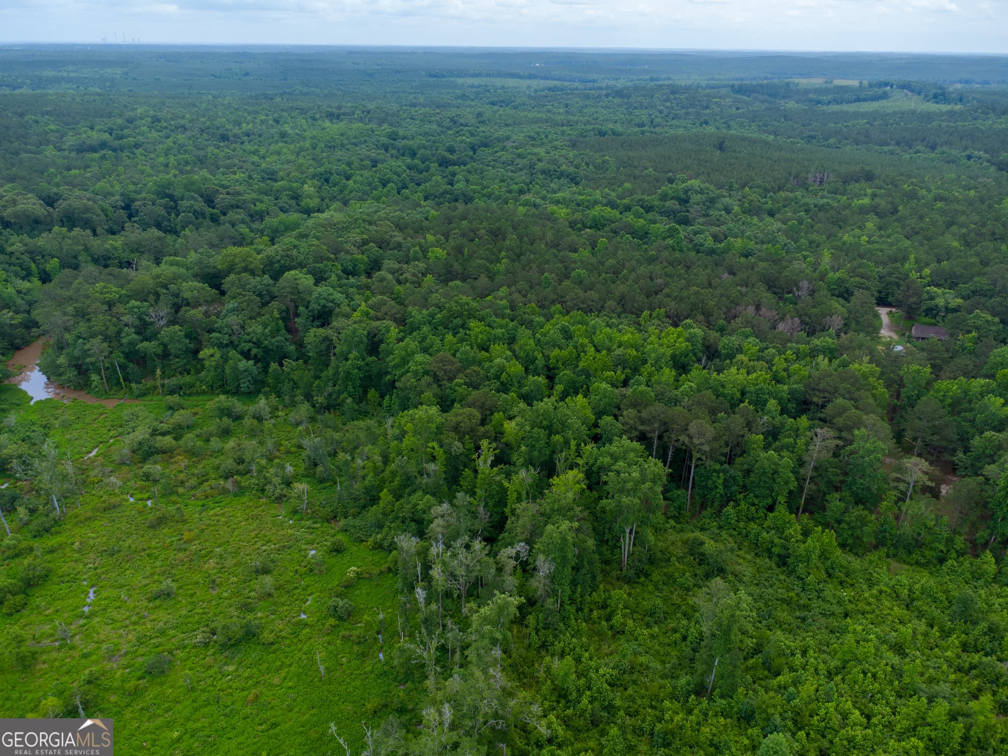 agriculture for sale at 331 Potts Pond Road, Barnesville, GA 30204 — photo 8