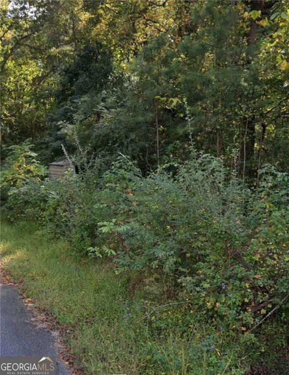 unimproved land for sale at 188 Eidson Street, Acworth, GA 30101 — photo 1 of 5