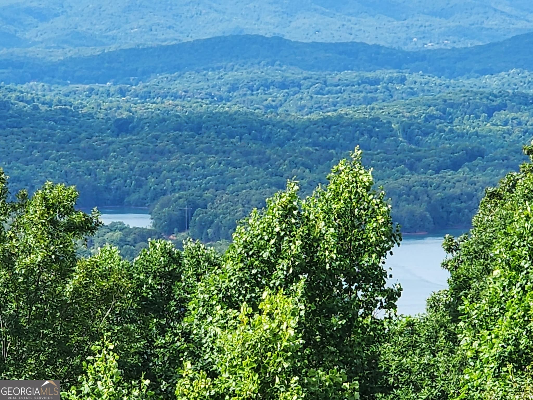 4 bedroom, 4 bathroom, 3,999 sq ft single family residence for sale at 880 Locust Trail, Hiawassee, GA 30546 — photo 3