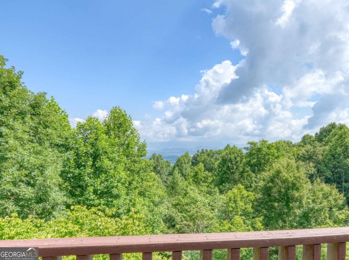 4 bedroom, 4 bathroom, 3,999 sq ft single family residence for sale at 880 Locust Trail, Hiawassee, GA 30546 — photo 5