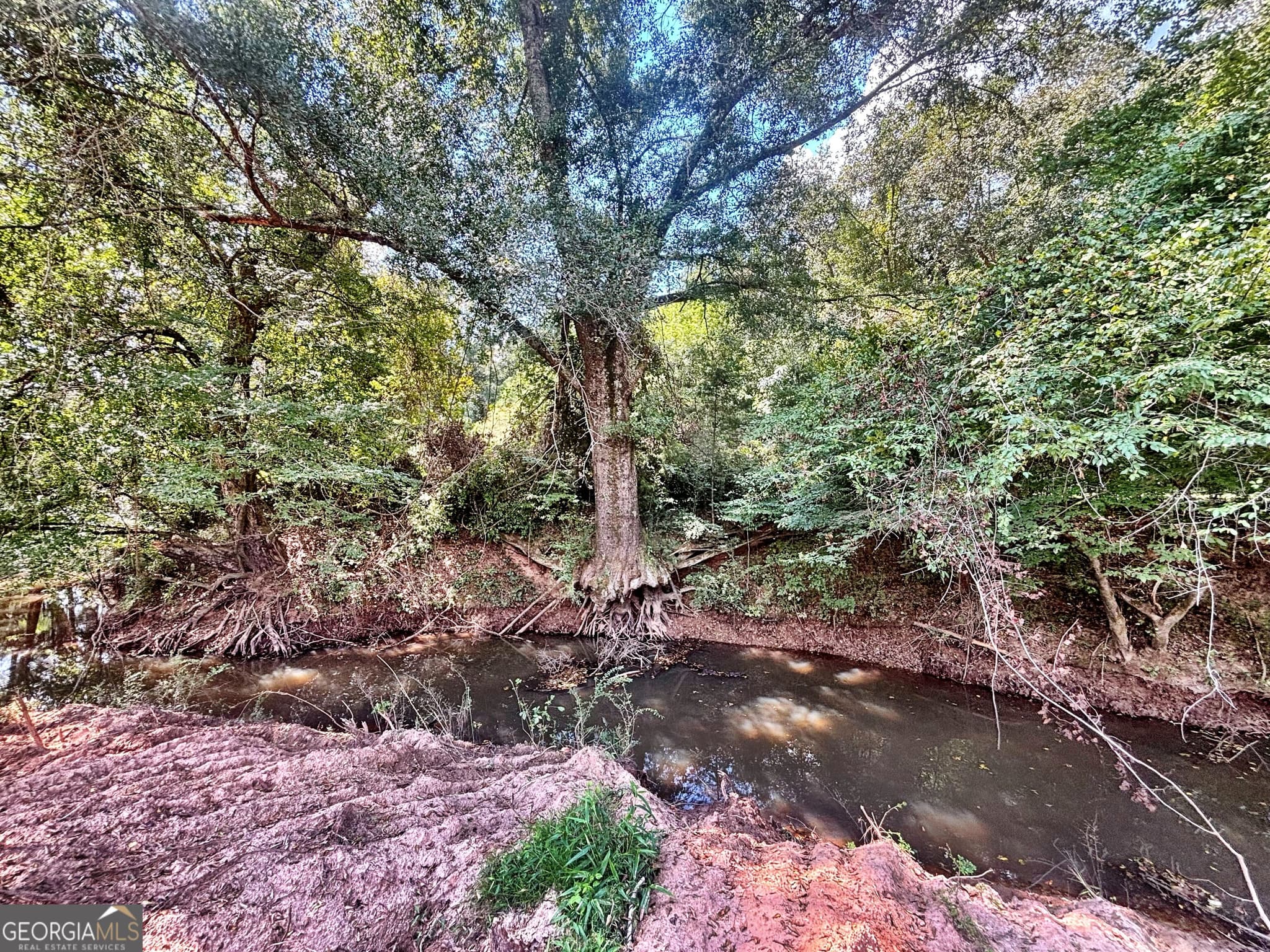unimproved land for sale at 102 Yellow Creek Road, Forsyth, GA 31029 — photo 2