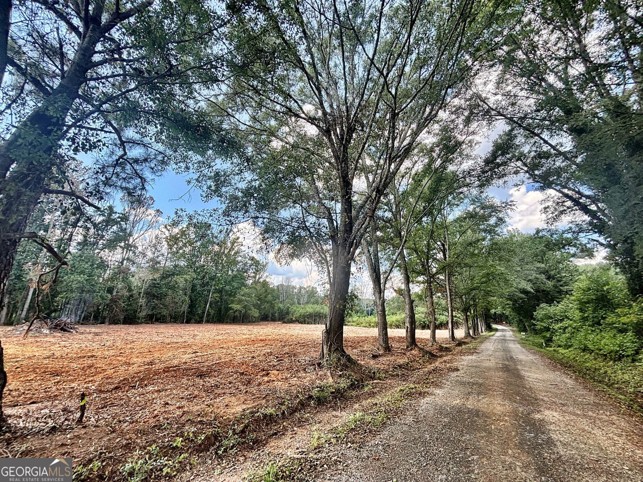 unimproved land for sale at 102 Yellow Creek Road, Forsyth, GA 31029 — photo 6