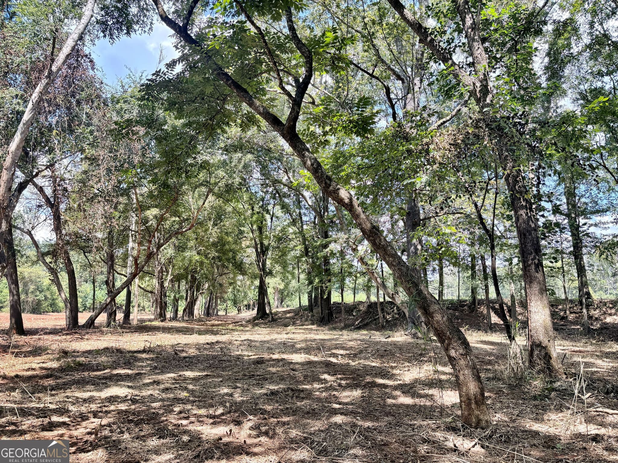 unimproved land for sale at 102 Yellow Creek Road, Forsyth, GA 31029 — photo 3