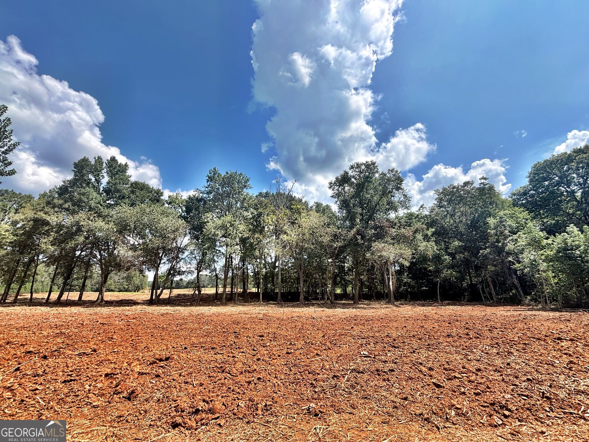 unimproved land for sale at 102 Yellow Creek Road, Forsyth, GA 31029 — photo 5