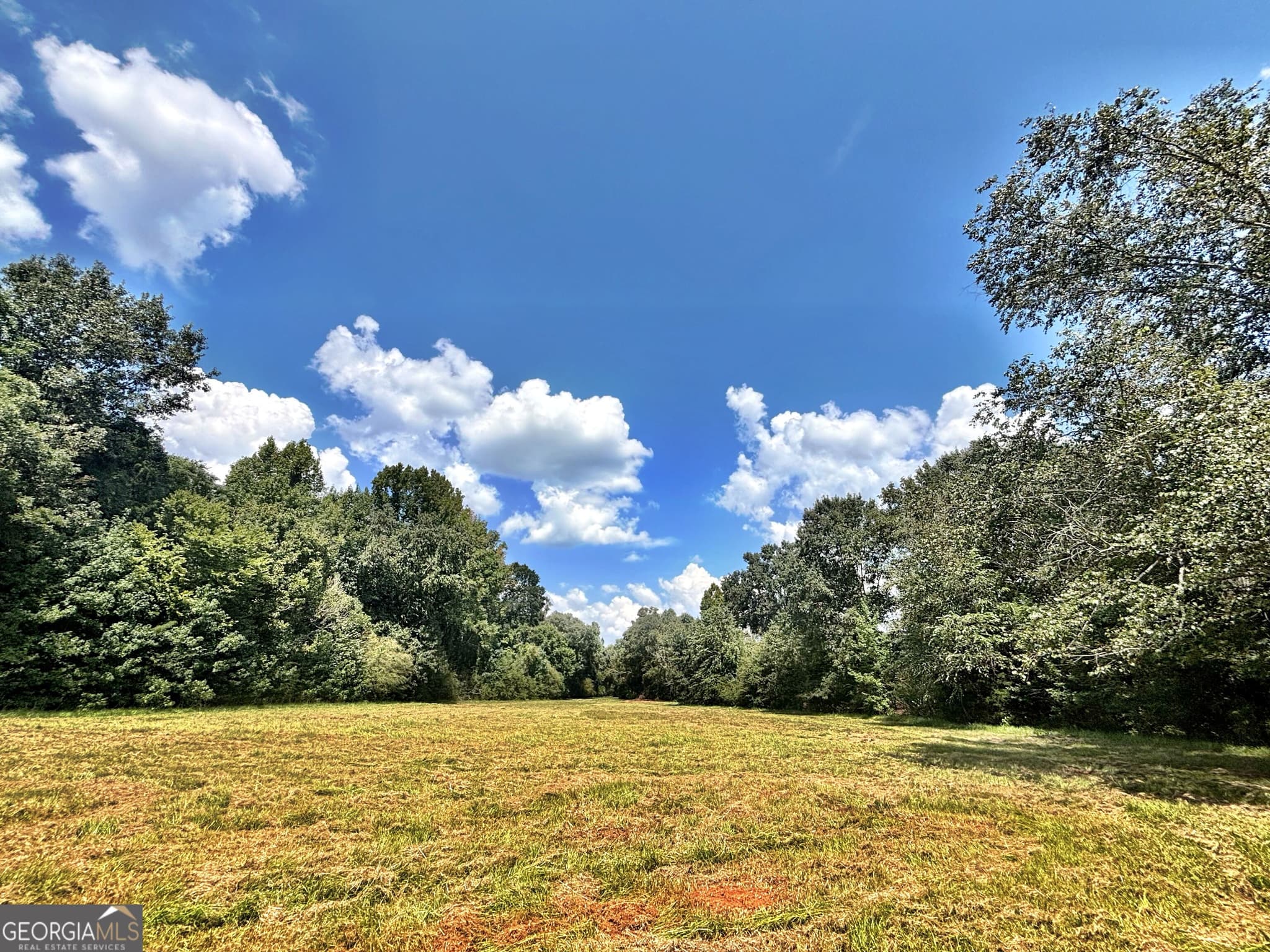 unimproved land for sale at 102 Yellow Creek Road, Forsyth, GA 31029 — photo 9