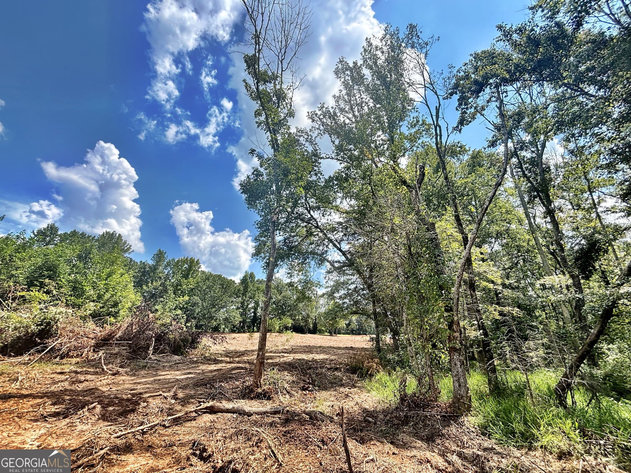 unimproved land for sale at 102 Yellow Creek Road, Forsyth, GA 31029 — photo 10