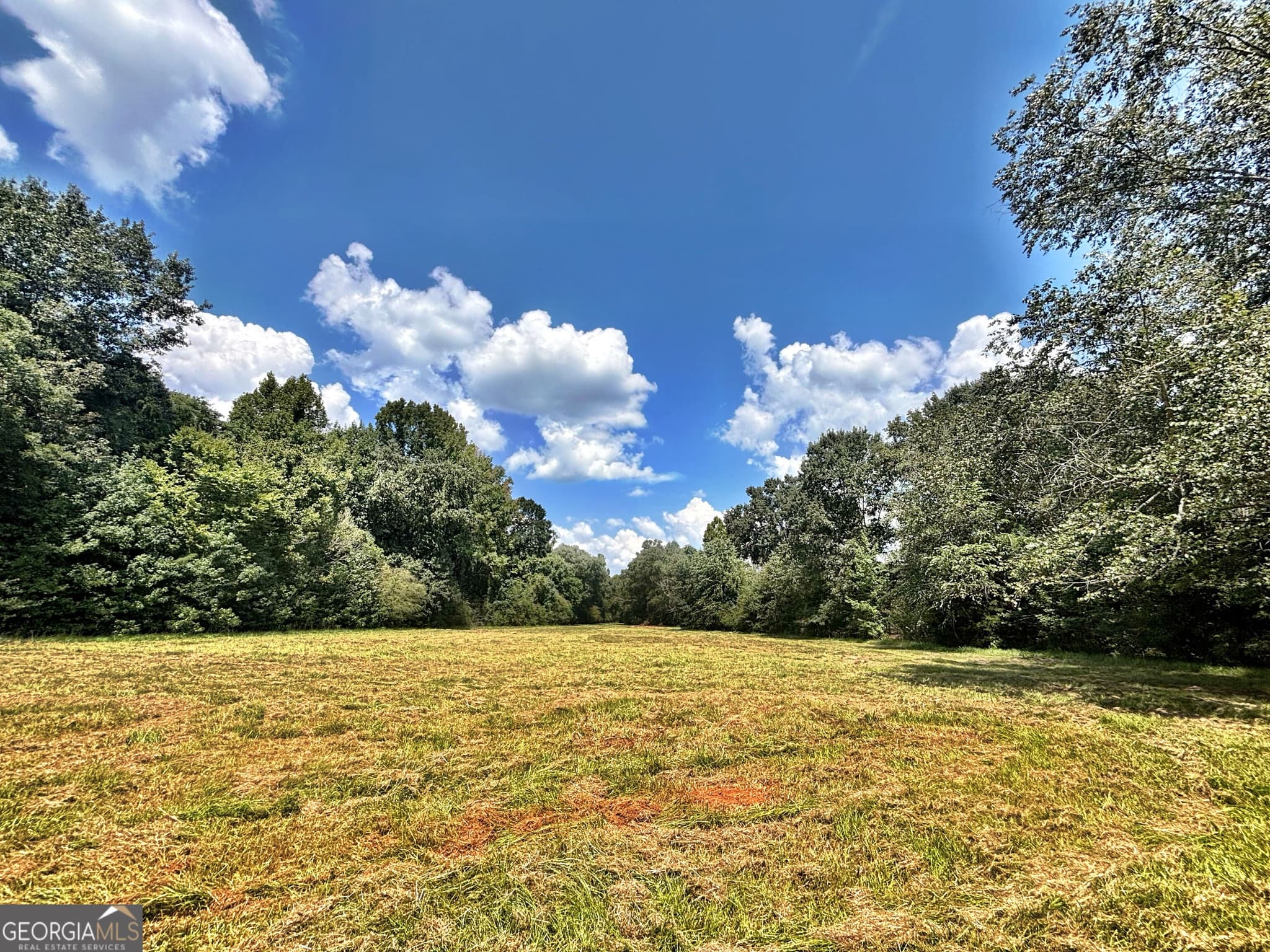 unimproved land for sale at 102 Yellow Creek Road, Forsyth, GA 31029 — photo 4