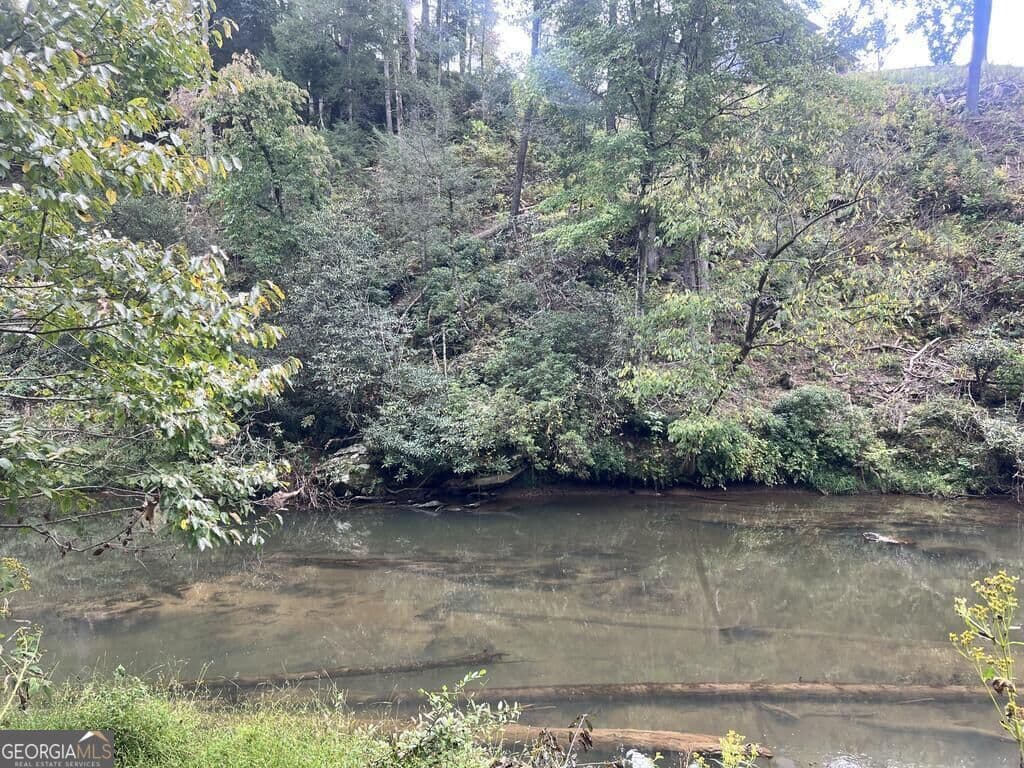 residential lot for sale at LT 229 Woodstone Trail, Ellijay, GA 30540 — photo 2