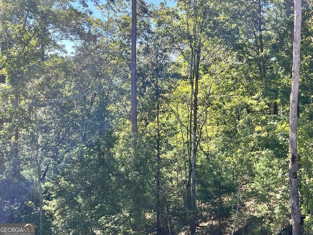 residential lot for sale at LT 229 Woodstone Trail, Ellijay, GA 30540 — photo 6