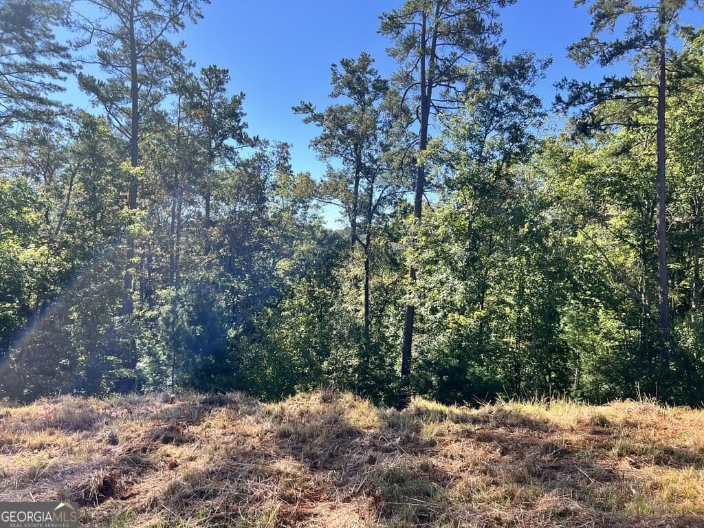 residential lot for sale at LT 229 Woodstone Trail, Ellijay, GA 30540 — photo 7