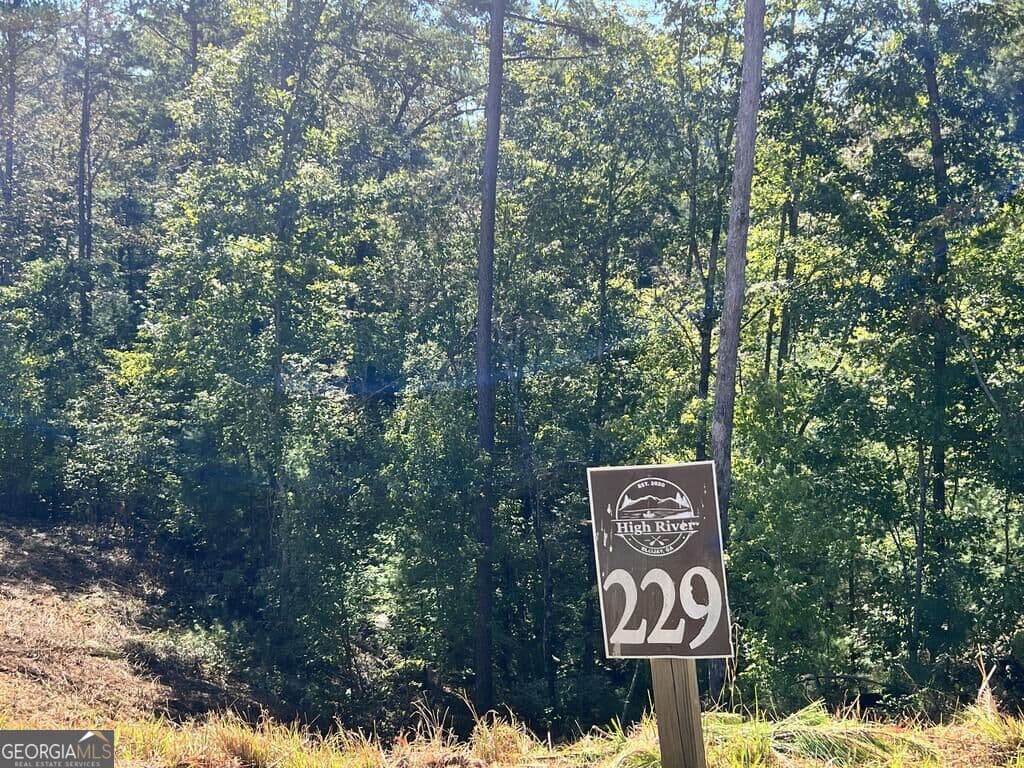 residential lot for sale at LT 229 Woodstone Trail, Ellijay, GA 30540 — photo 3