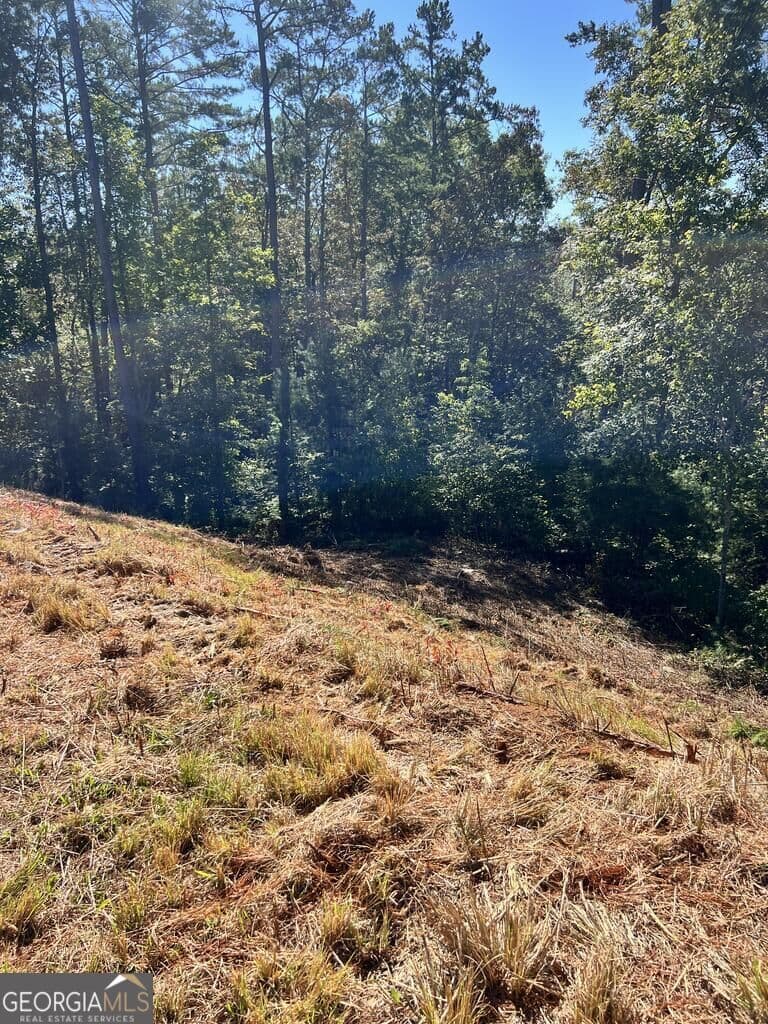 residential lot for sale at LT 229 Woodstone Trail, Ellijay, GA 30540 — photo 1 of 8