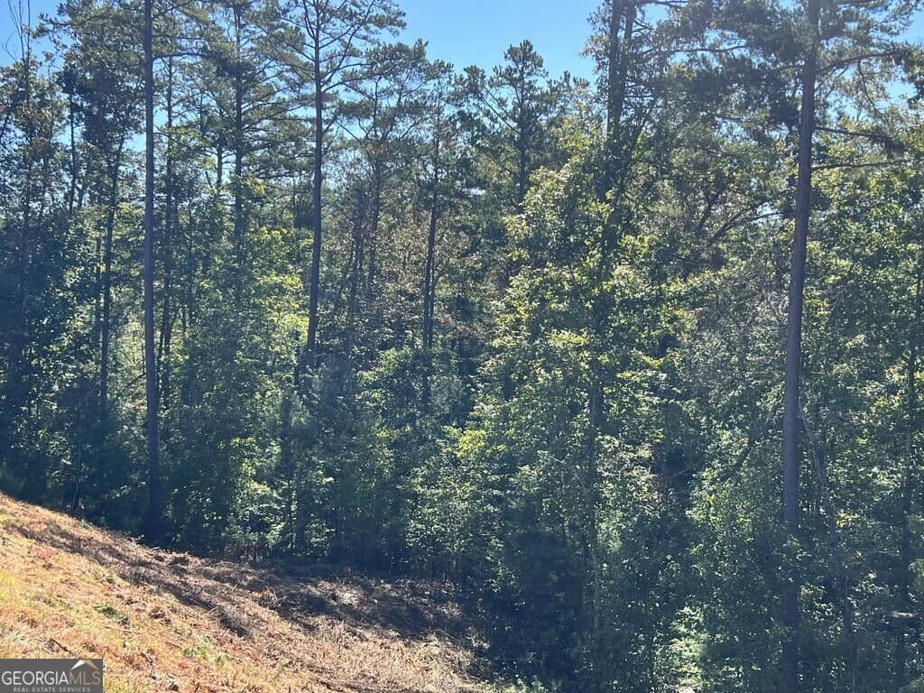 residential lot for sale at LT 229 Woodstone Trail, Ellijay, GA 30540 — photo 5