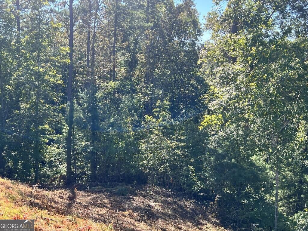 residential lot for sale at LT 229 Woodstone Trail, Ellijay, GA 30540 — photo 4