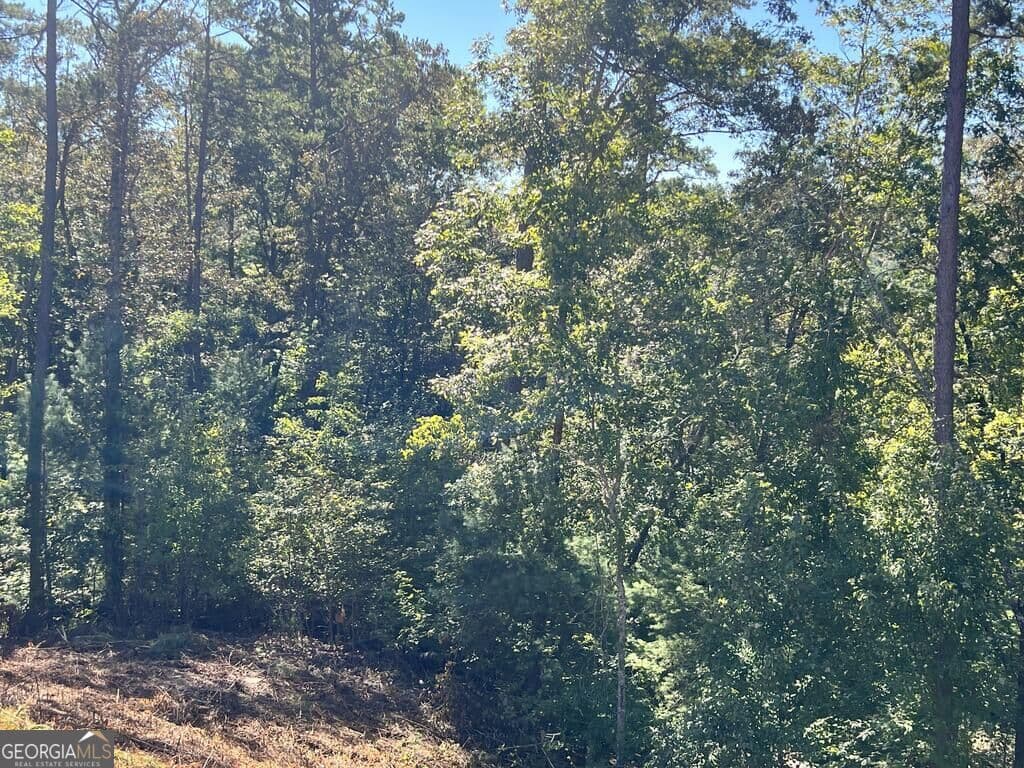 residential lot for sale at LT 229 Woodstone Trail, Ellijay, GA 30540 — photo 8