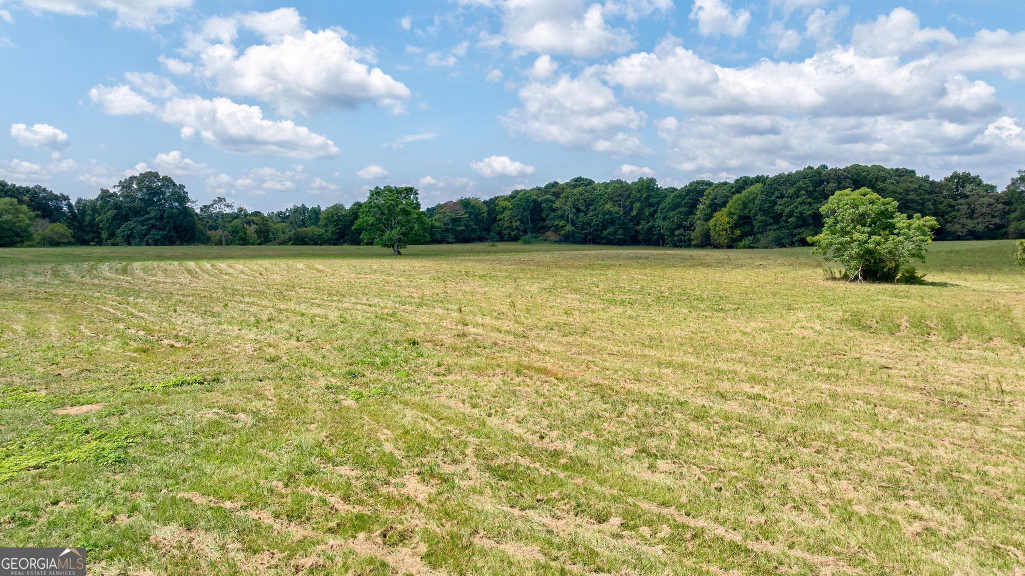 estate lot for sale at 0 Middlebrooks Road, Watkinsville, GA 30677 — photo 3