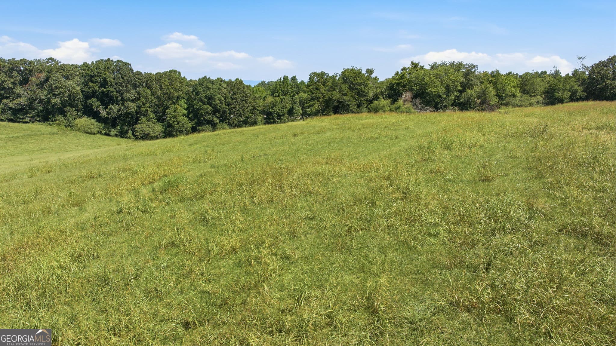 residential lot for sale at 0 Double Bridge Connector LOT 1, Demorest, GA 30535 — photo 6