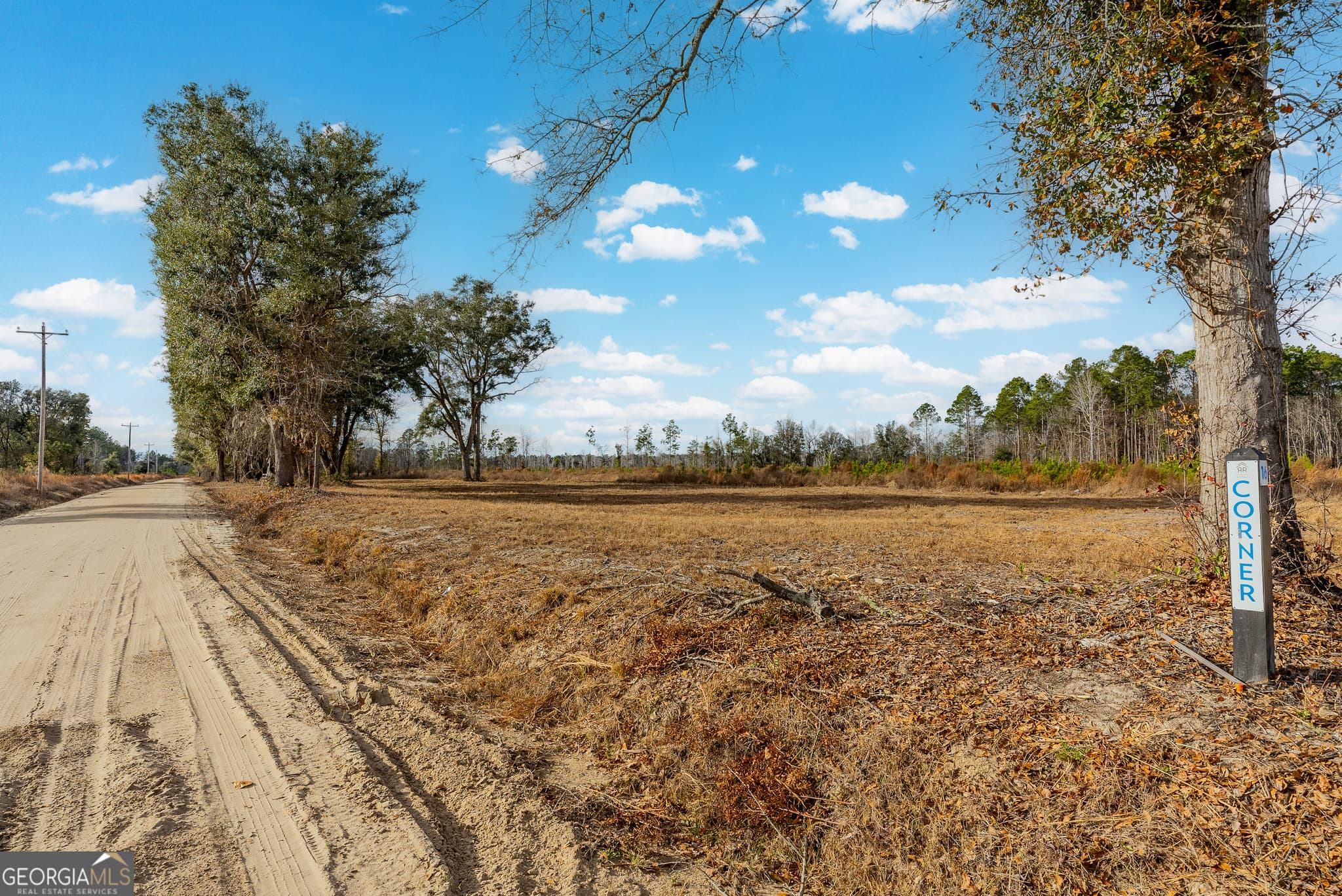 agriculture for sale at LOT 15 Bennett Grooms Road, Brooklet, GA 30415 — photo 2
