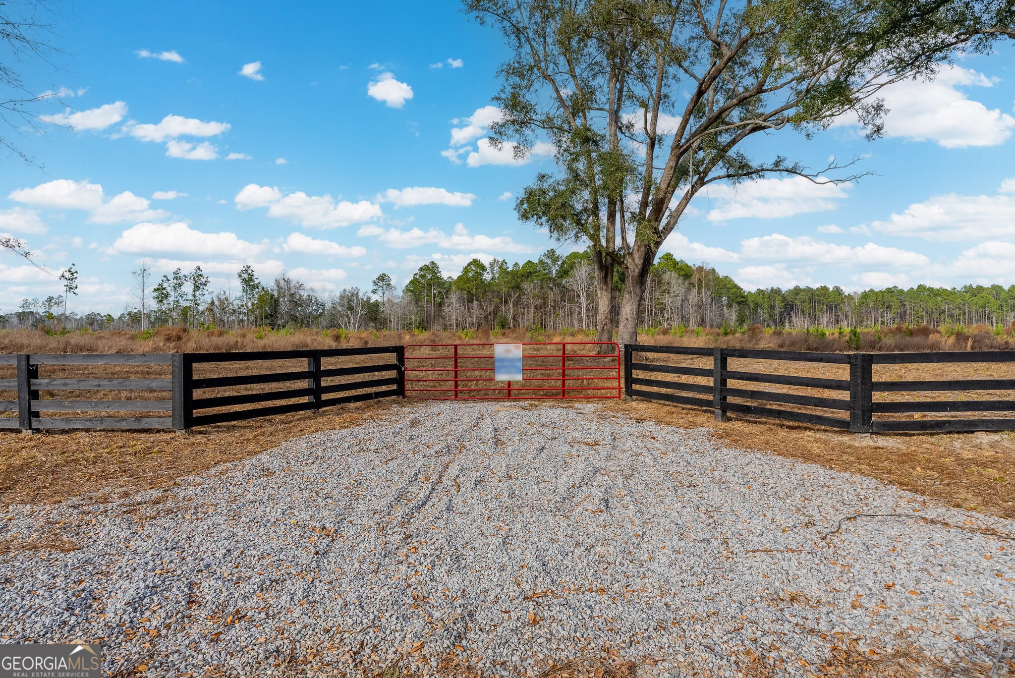 agriculture for sale at LOT 15 Bennett Grooms Road, Brooklet, GA 30415 — photo 3