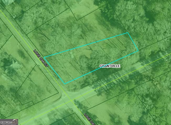 residential lot for sale at 108 Lone Oak Street, Grantville, GA 30220 — photo 1 of 1