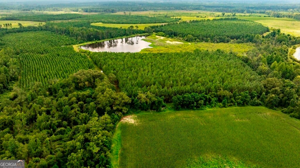 agriculture sold at 0 Canoochee Road, Cobbtown, GA 30420