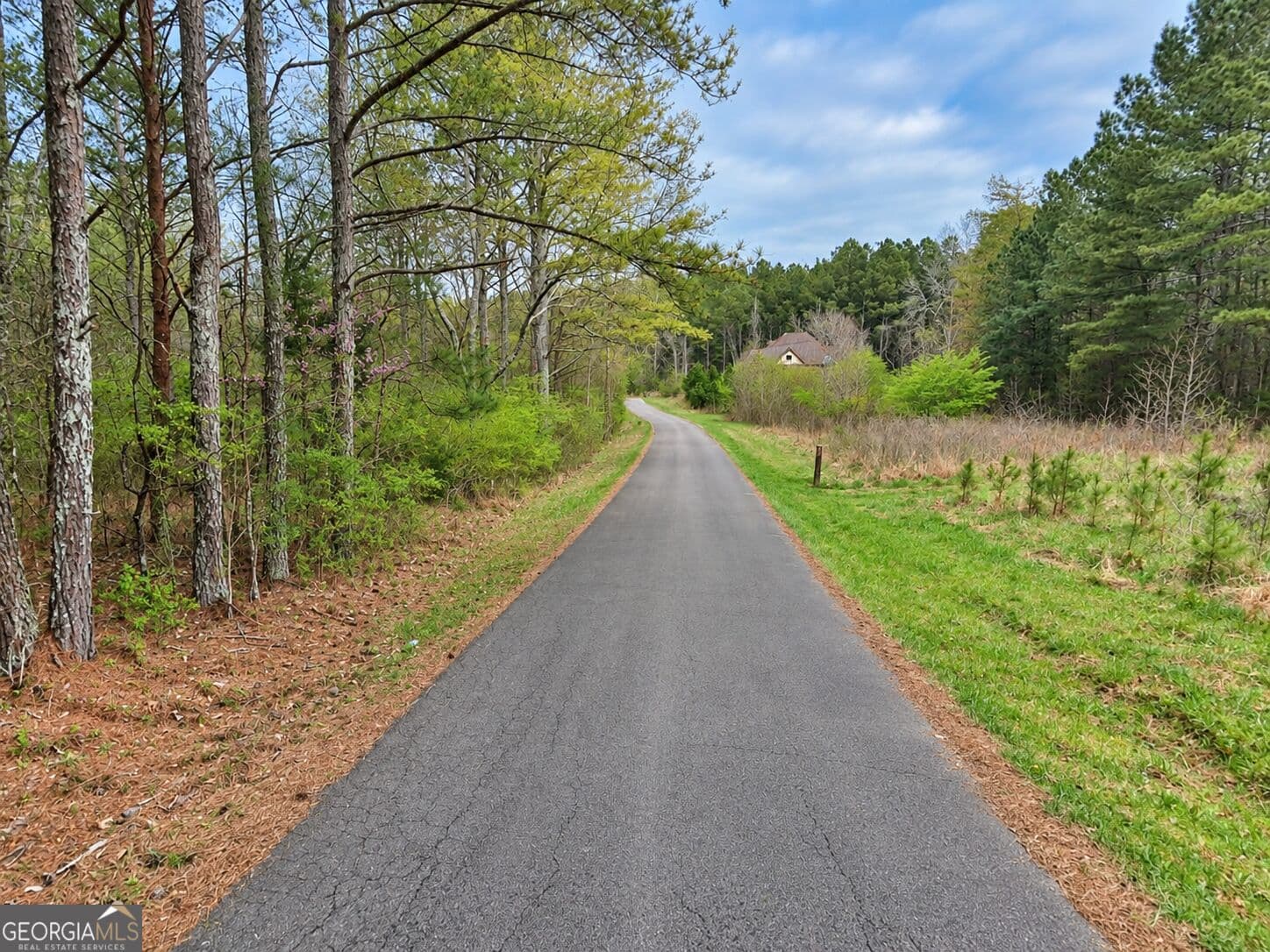 residential lot for sale at 0.53 ACRES Maddox Lake Road, Summerville, GA 30747 — photo 6