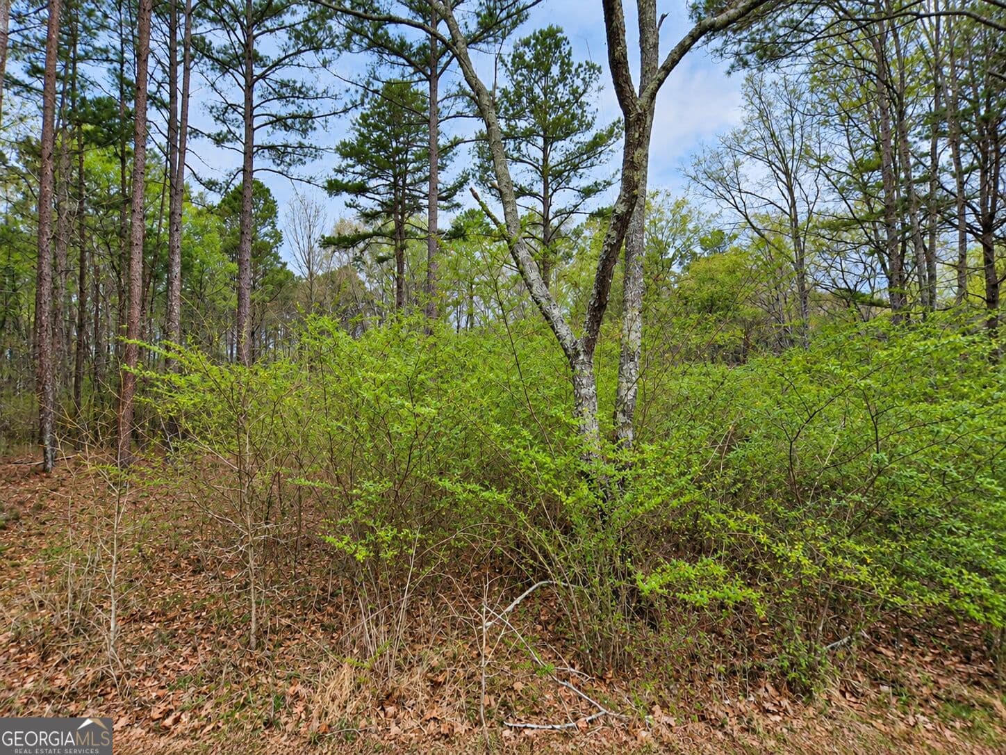 residential lot for sale at 0.53 ACRES Maddox Lake Road, Summerville, GA 30747 — photo 3