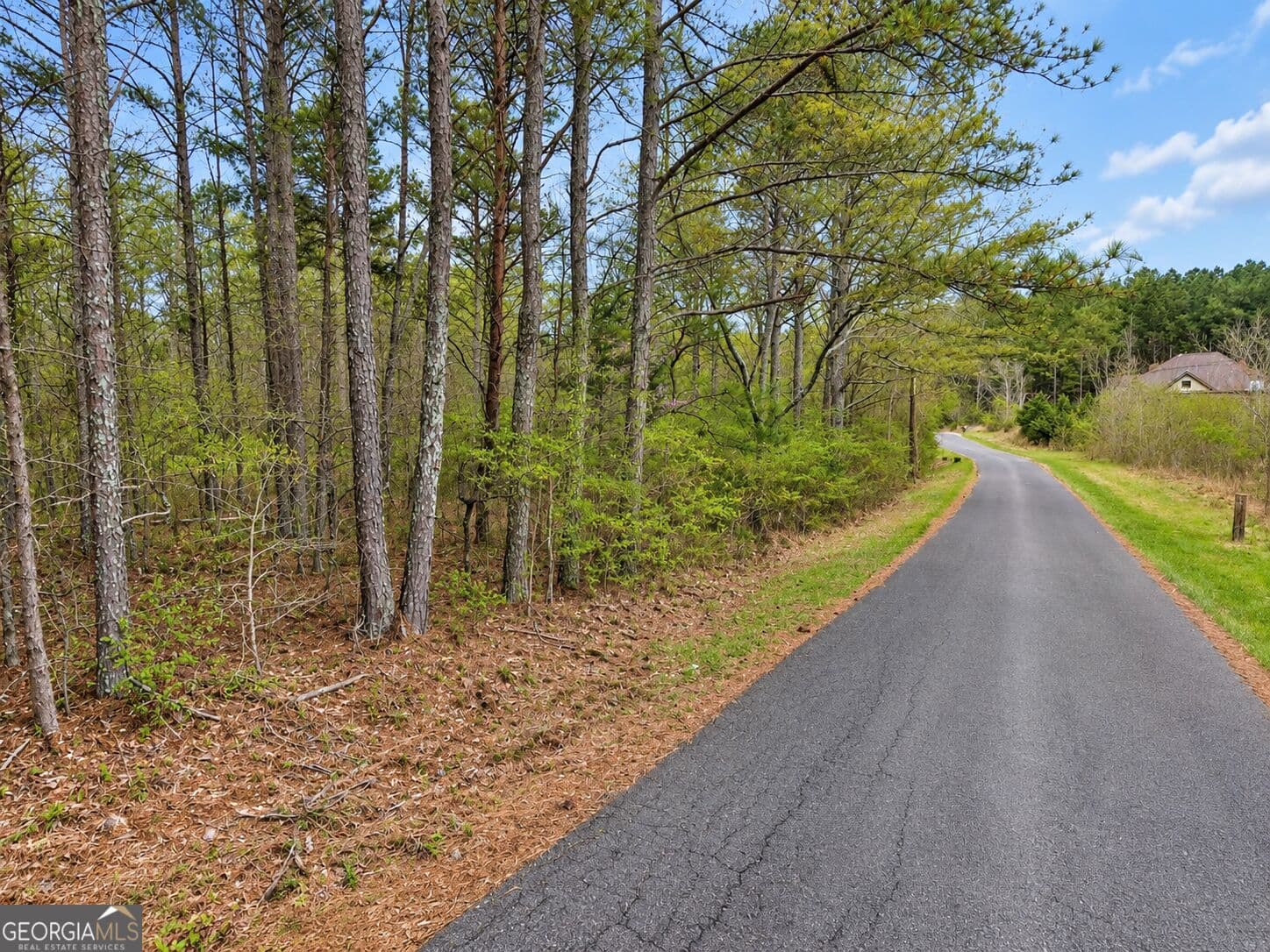 residential lot for sale at 0.53 ACRES Maddox Lake Road, Summerville, GA 30747 — photo 5