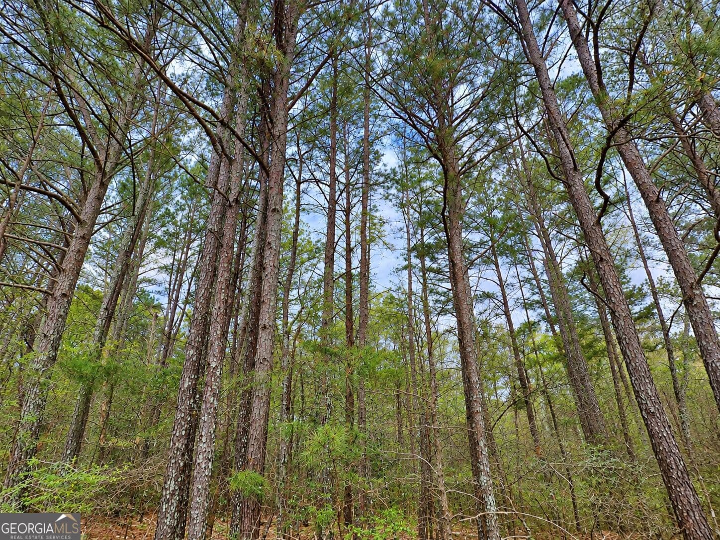 residential lot for sale at 0.53 ACRES Maddox Lake Road, Summerville, GA 30747 — photo 4