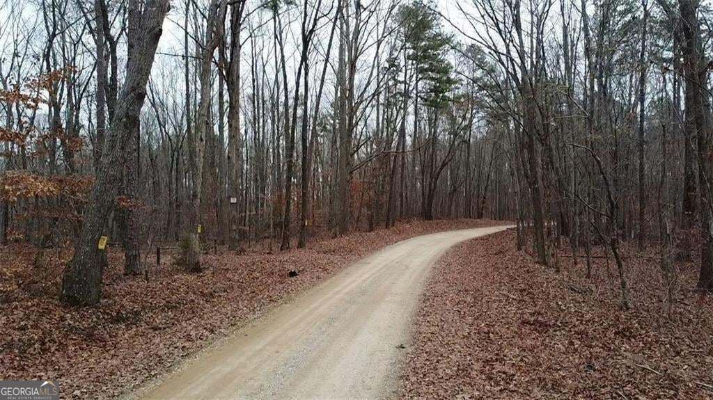 unimproved land for sale at 0 Treat Mountain Road, Cedartown, GA 30125 — photo 6