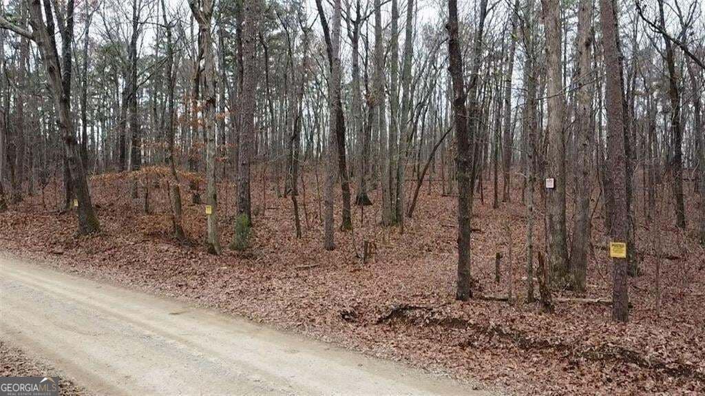 unimproved land for sale at 0 Treat Mountain Road, Cedartown, GA 30125 — photo 5
