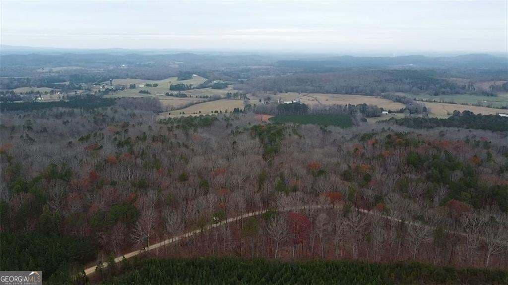 unimproved land for sale at 0 Treat Mountain Road, Cedartown, GA 30125 — photo 4