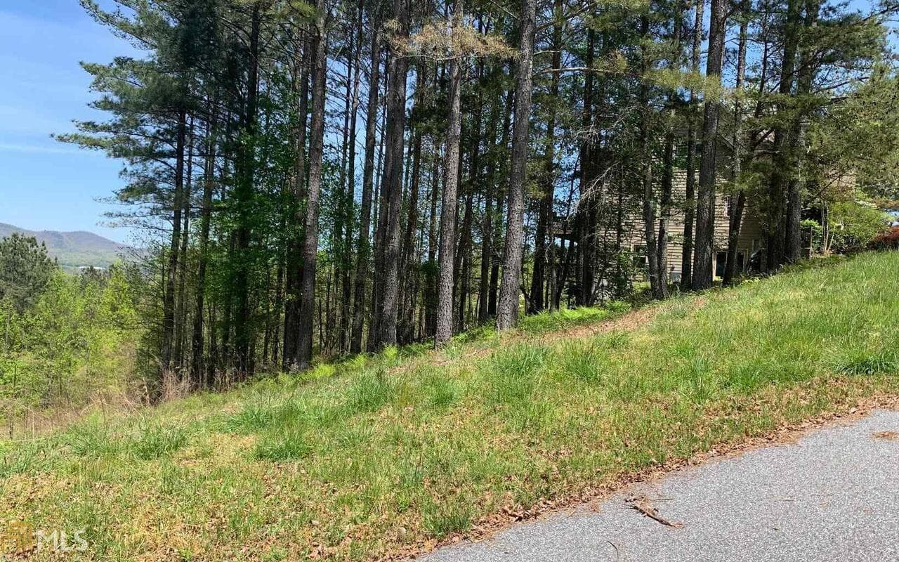 residential lot for sale at LOT 28 Loftis Mountain, Blairsville, GA 30512 — photo 6