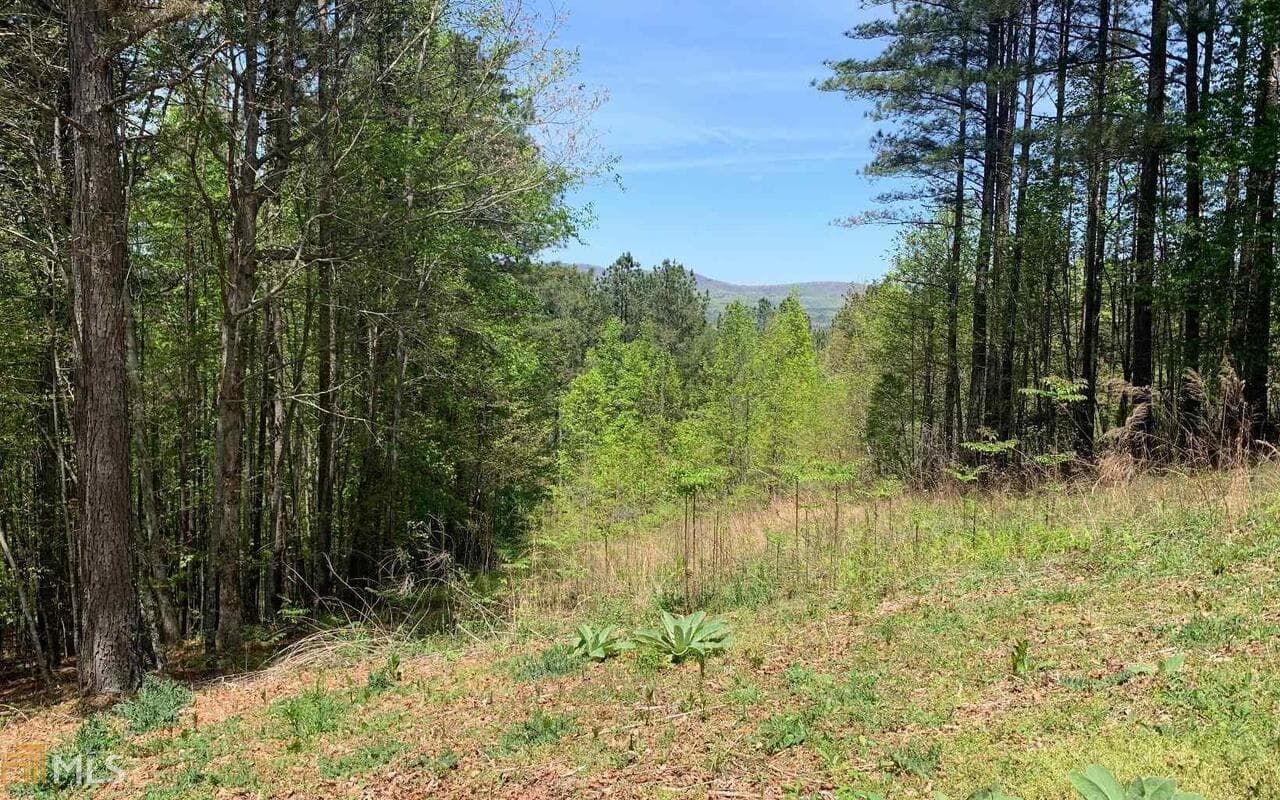 residential lot for sale at LOT 28 Loftis Mountain, Blairsville, GA 30512 — photo 7