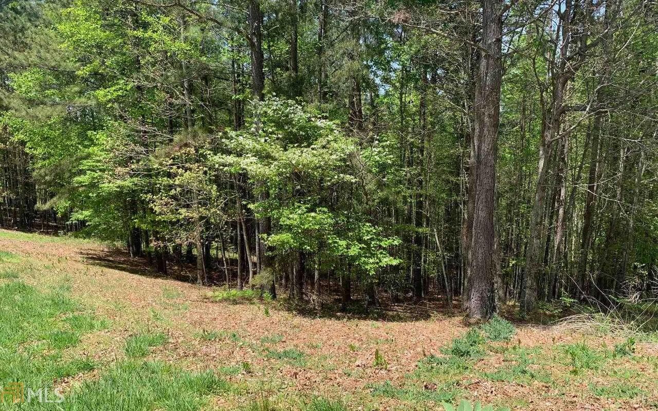 residential lot for sale at LOT 28 Loftis Mountain, Blairsville, GA 30512 — photo 3