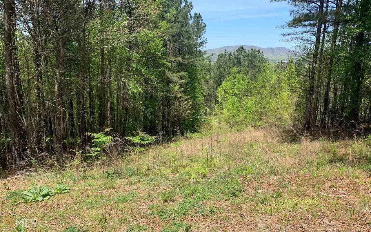 residential lot for sale at LOT 28 Loftis Mountain, Blairsville, GA 30512 — photo 1 of 15