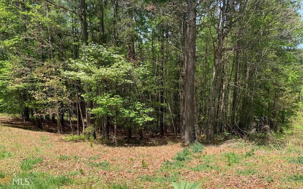residential lot for sale at LOT 28 Loftis Mountain, Blairsville, GA 30512 — photo 5