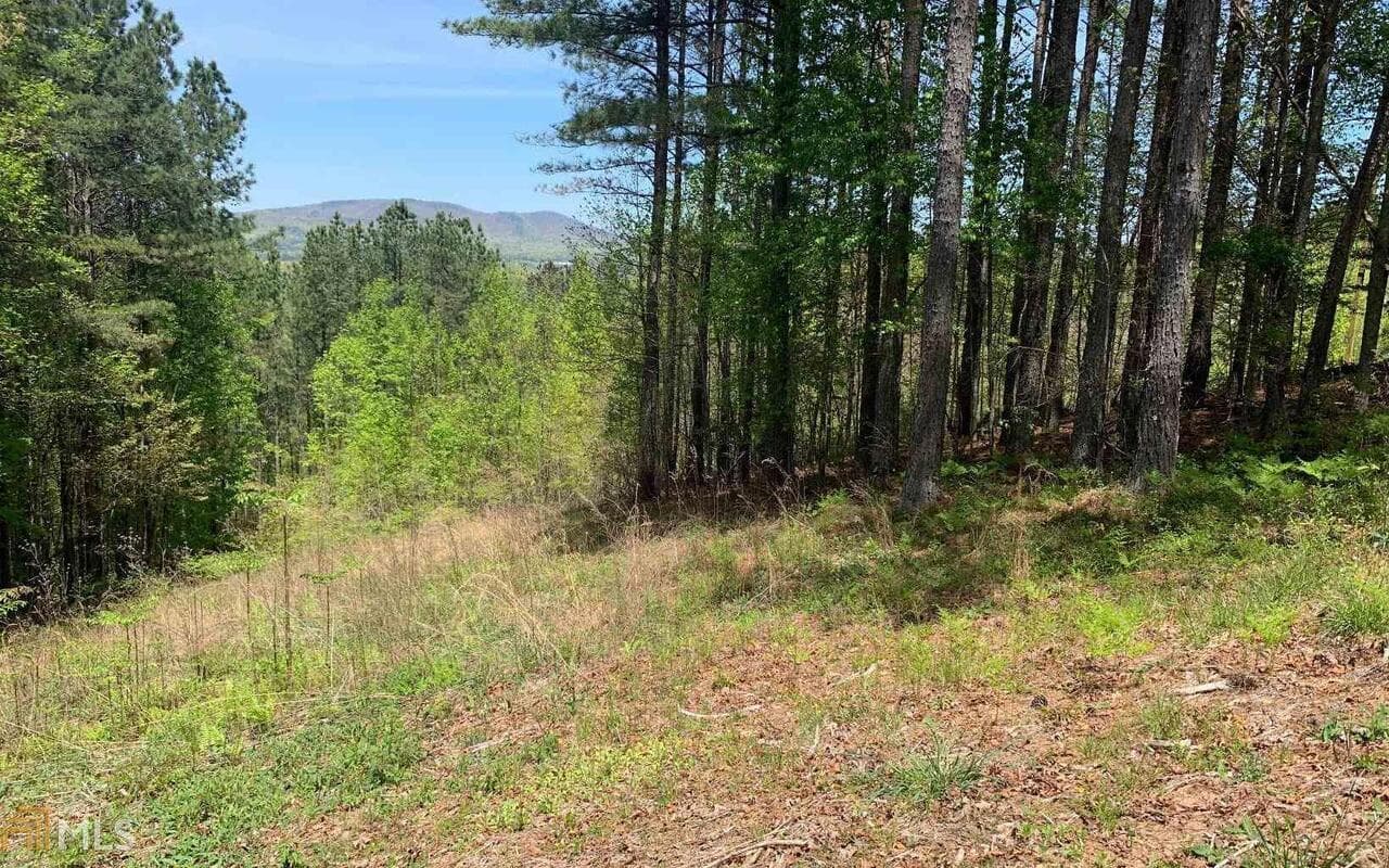 residential lot for sale at LOT 28 Loftis Mountain, Blairsville, GA 30512 — photo 9