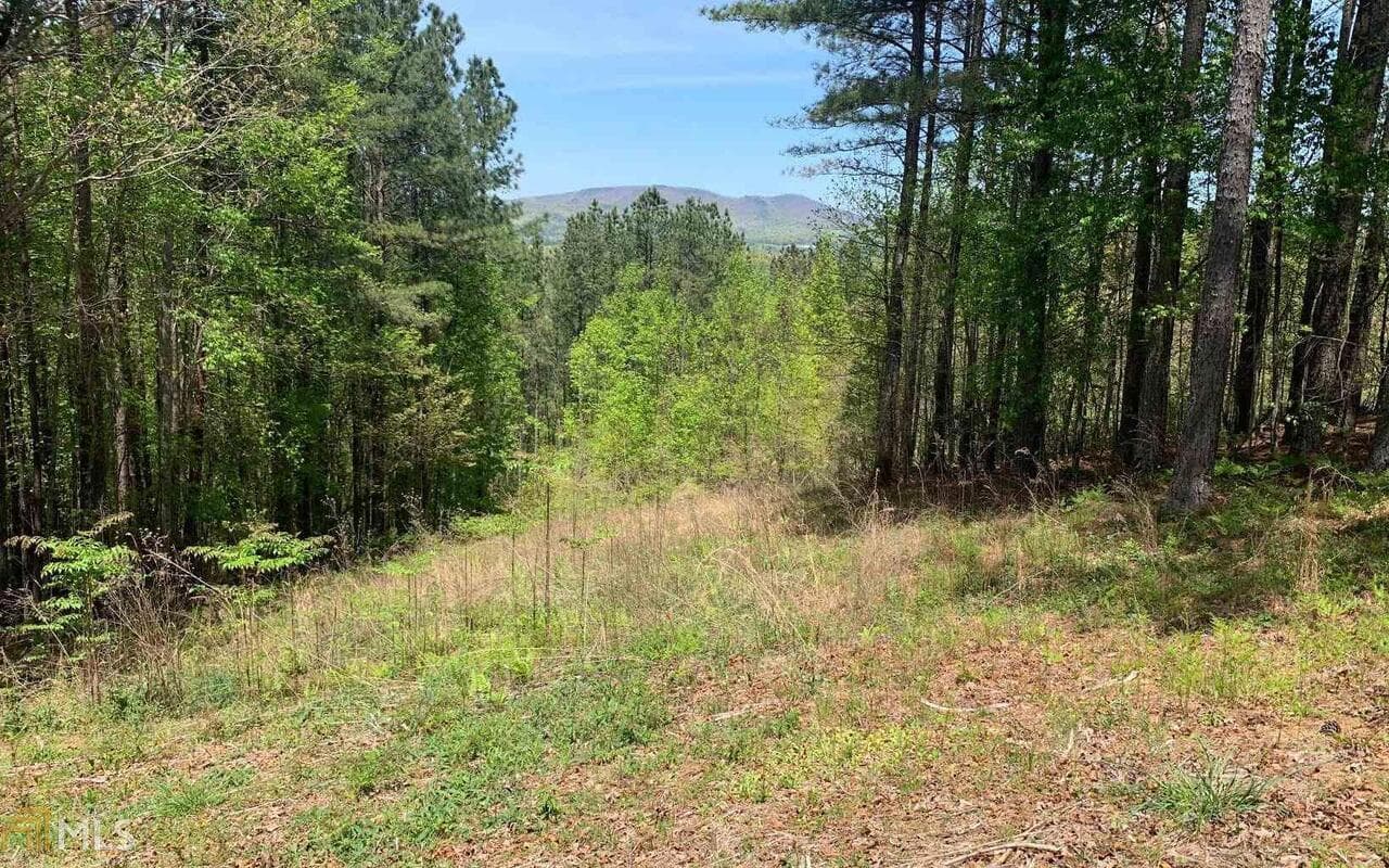 residential lot for sale at LOT 28 Loftis Mountain, Blairsville, GA 30512 — photo 10