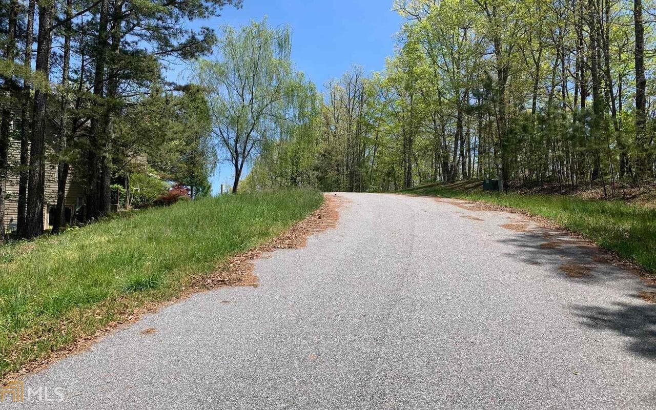 residential lot for sale at LOT 28 Loftis Mountain, Blairsville, GA 30512 — photo 4