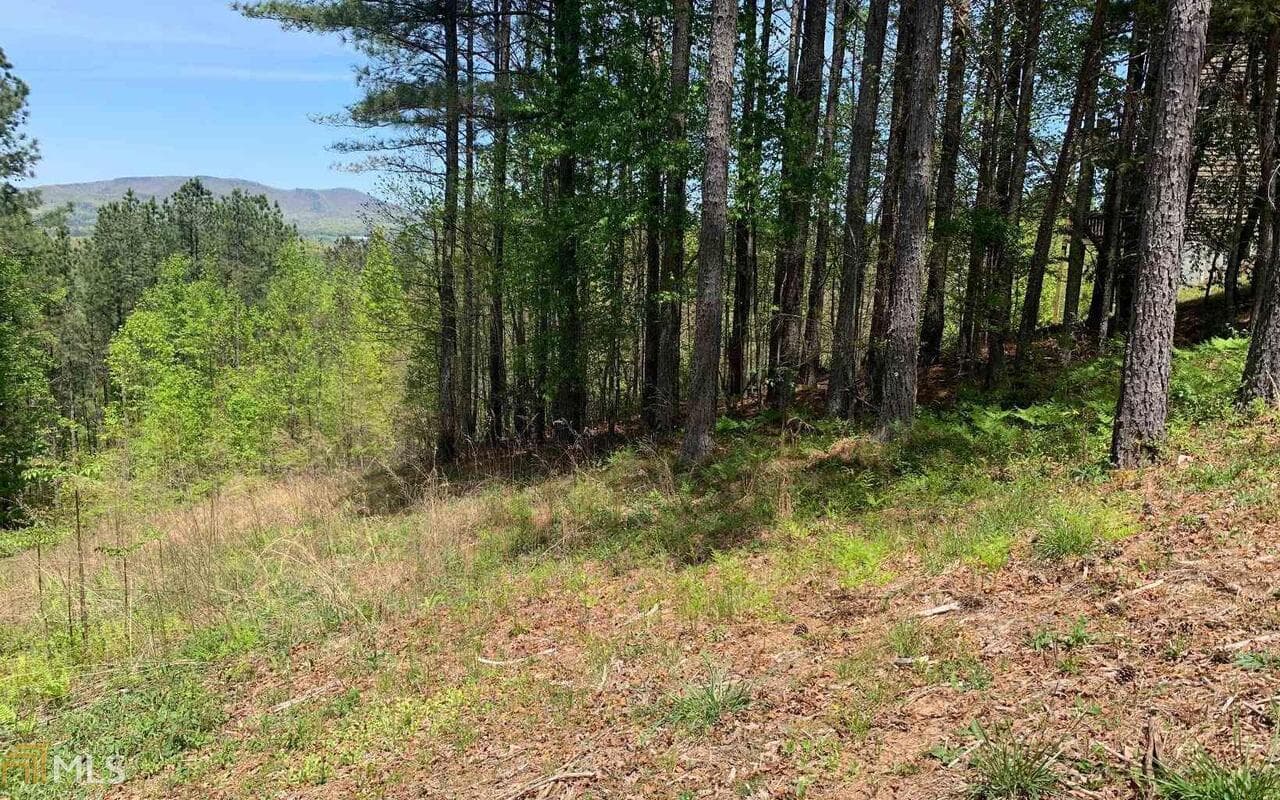 residential lot for sale at LOT 28 Loftis Mountain, Blairsville, GA 30512 — photo 8