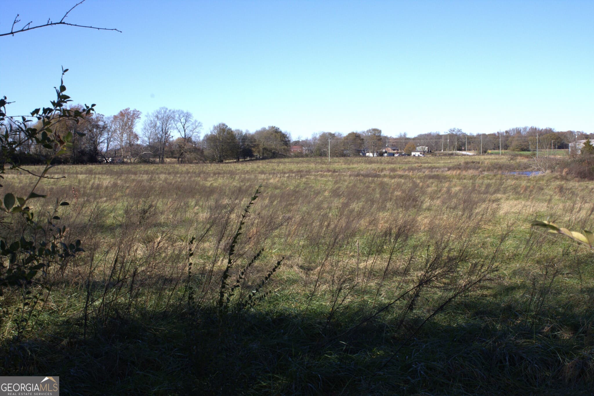 unimproved land for sale at TRACT 6 Seed Cleaner, Hartwell, GA 30643 — photo 3