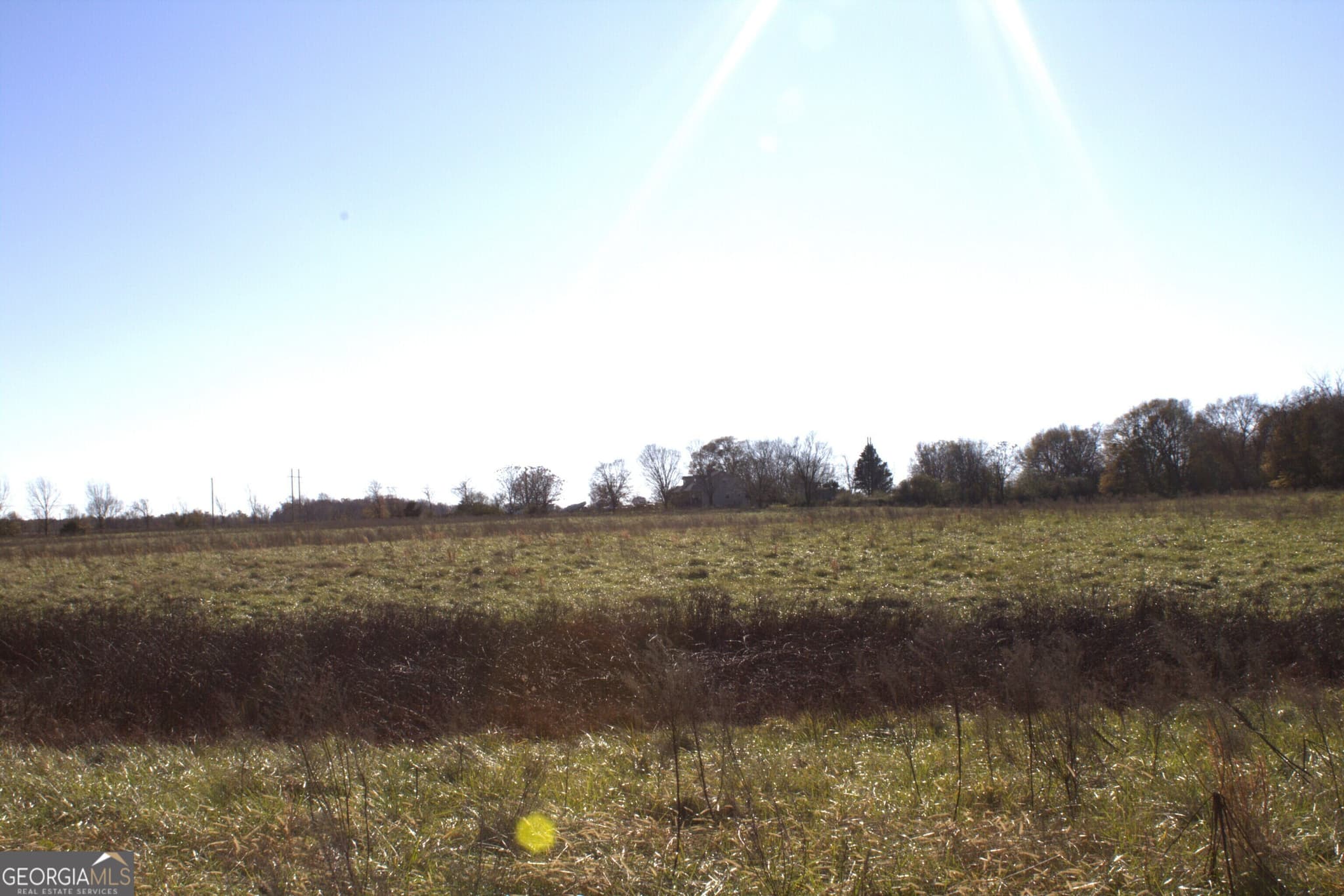unimproved land for sale at TRACT 6 Seed Cleaner, Hartwell, GA 30643 — photo 5
