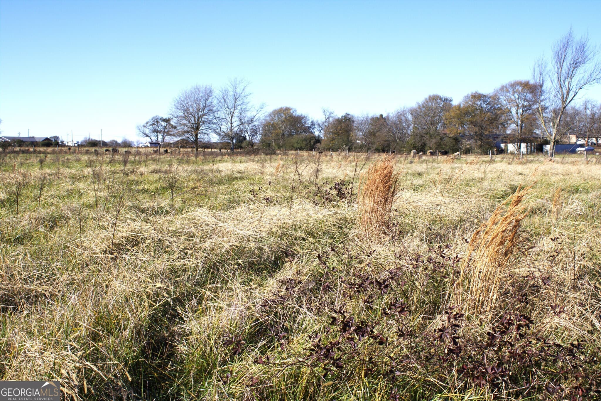 unimproved land for sale at TRACT 6 Seed Cleaner, Hartwell, GA 30643 — photo 9