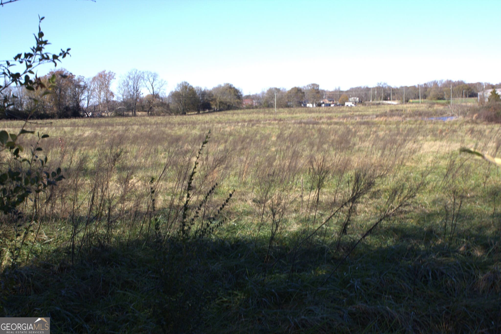 unimproved land for sale at TRACT 6 Seed Cleaner, Hartwell, GA 30643 — photo 4