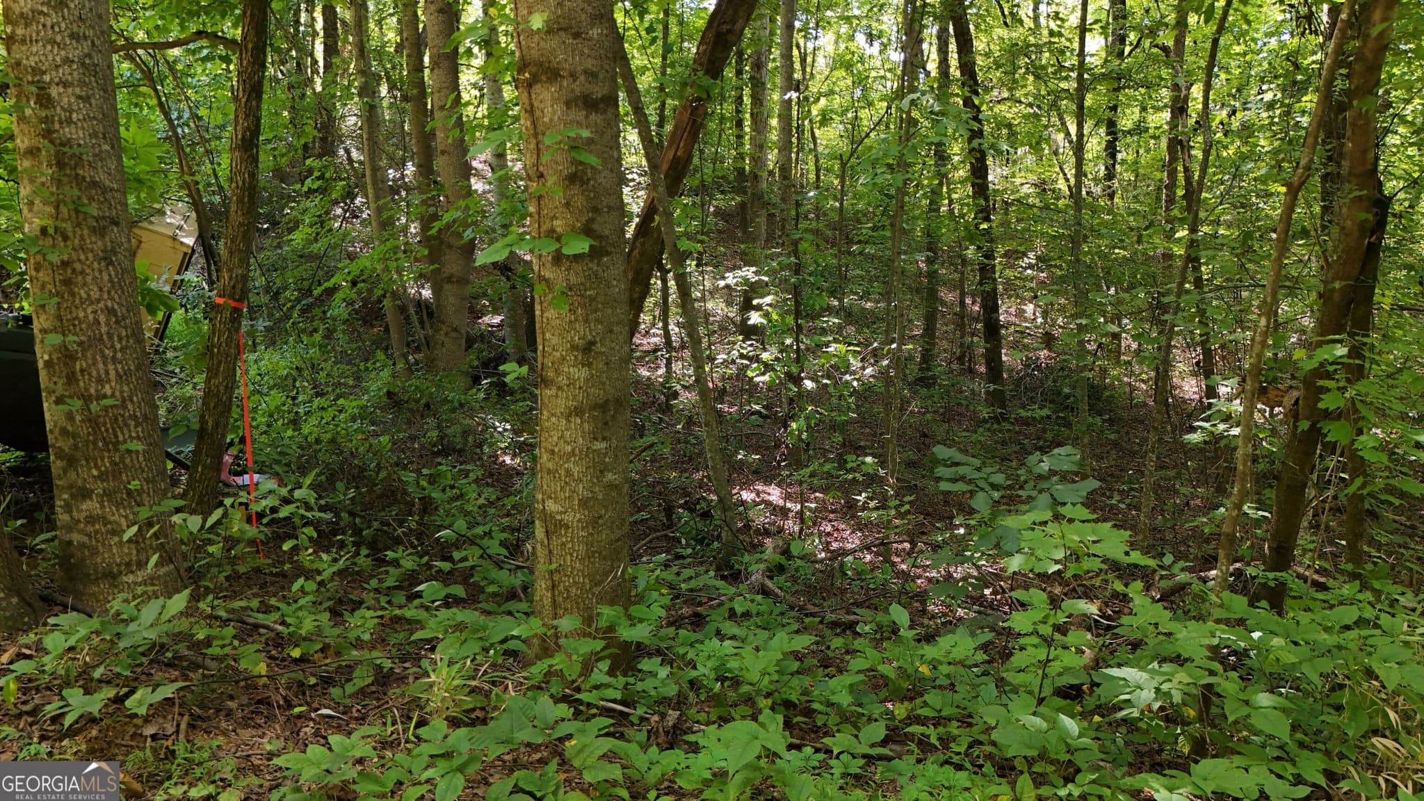 residential lot for sale at LOT 195 Fern Valley Trail, Clarkesville, GA 30523 — photo 2