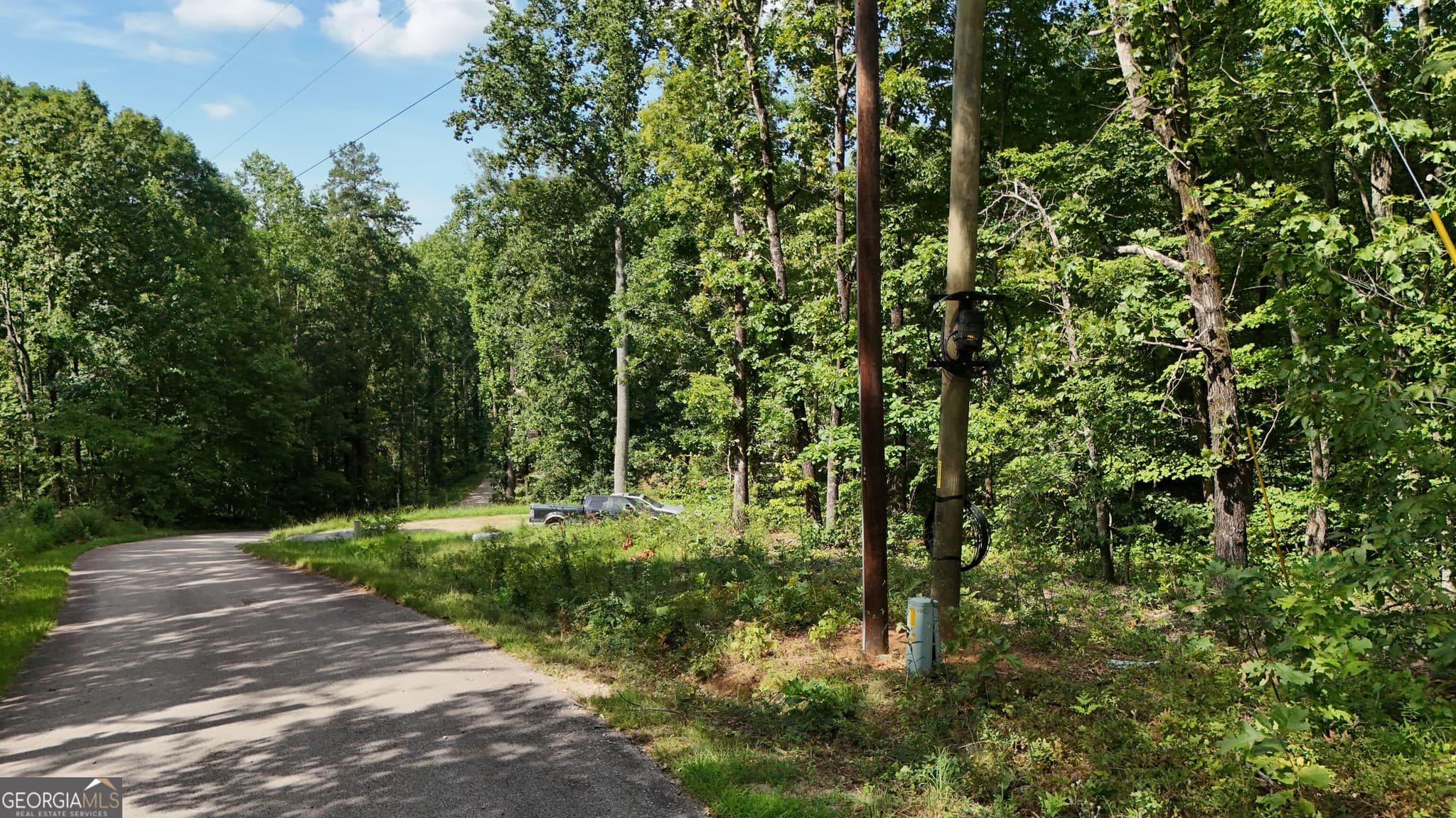 residential lot for sale at LOT 195 Fern Valley Trail, Clarkesville, GA 30523 — photo 6