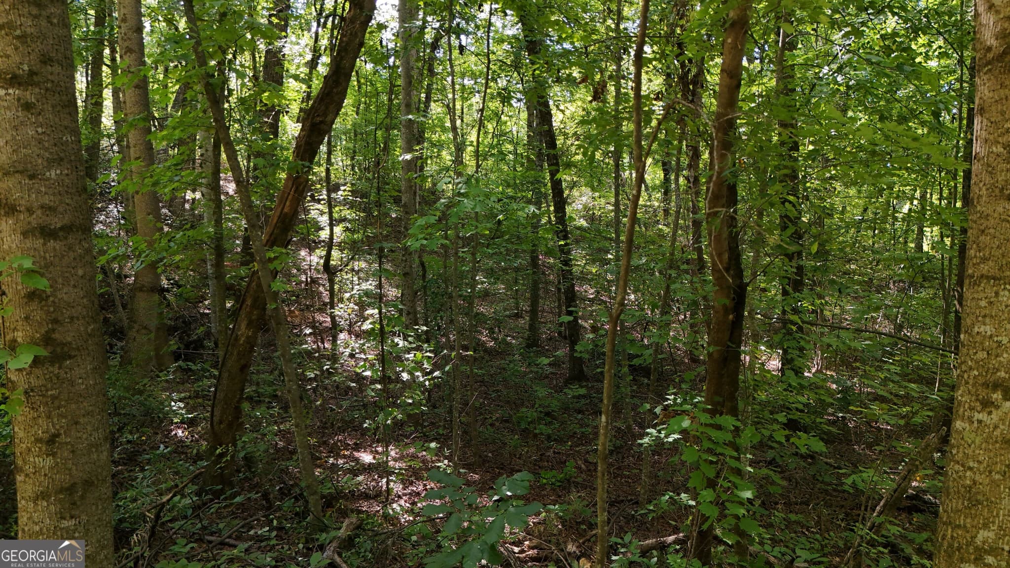 residential lot for sale at LOT 195 Fern Valley Trail, Clarkesville, GA 30523 — photo 3